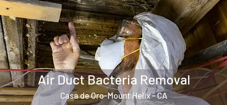  Air Duct Bacteria Removal Casa de Oro-Mount Helix - CA