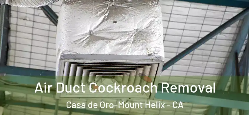  Air Duct Cockroach Removal Casa de Oro-Mount Helix - CA