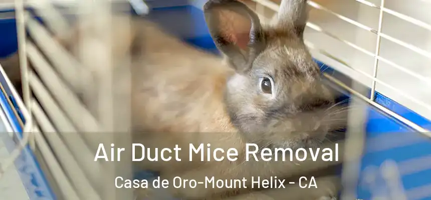 Air Duct Mice Removal Casa de Oro-Mount Helix - CA