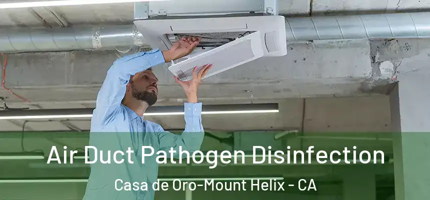  Air Duct Pathogen Disinfection Casa de Oro-Mount Helix - CA
