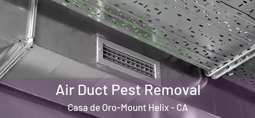  Air Duct Pest Removal Casa de Oro-Mount Helix - CA
