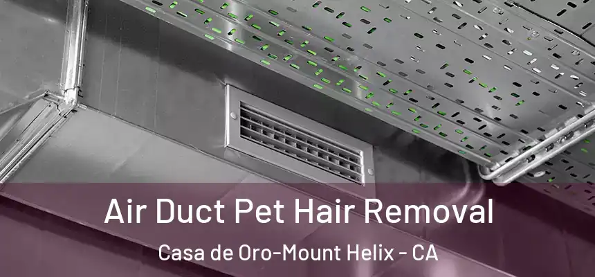  Air Duct Pet Hair Removal Casa de Oro-Mount Helix - CA