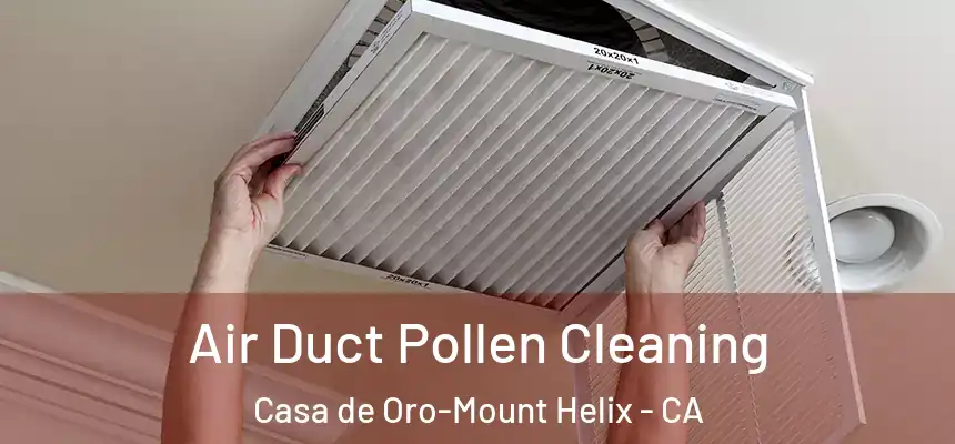  Air Duct Pollen Cleaning Casa de Oro-Mount Helix - CA
