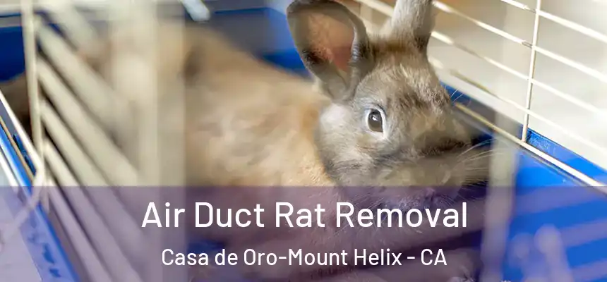  Air Duct Rat Removal Casa de Oro-Mount Helix - CA