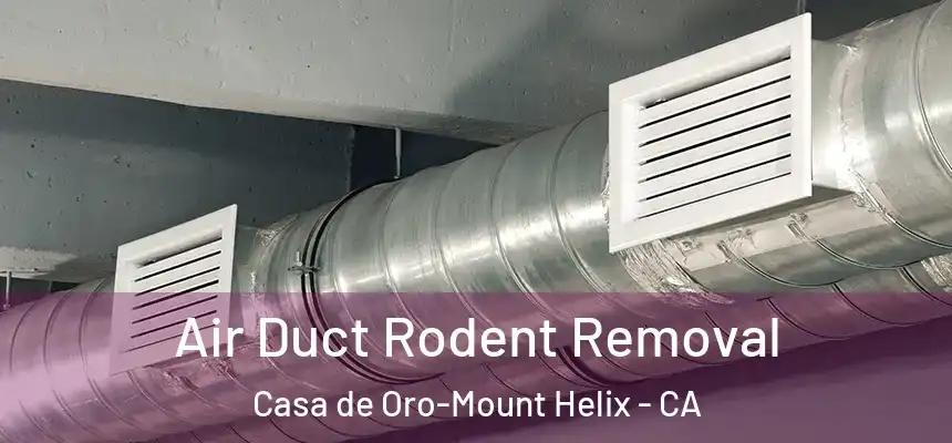  Air Duct Rodent Removal Casa de Oro-Mount Helix - CA