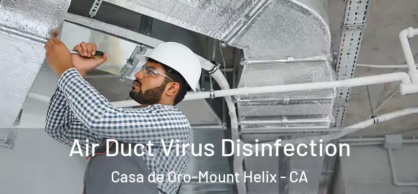 Air Duct Virus Disinfection Casa de Oro-Mount Helix - CA