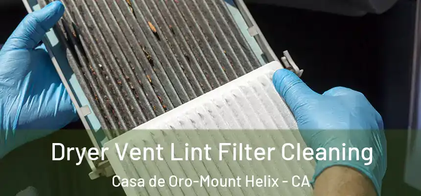  Dryer Vent Lint Filter Cleaning Casa de Oro-Mount Helix - CA