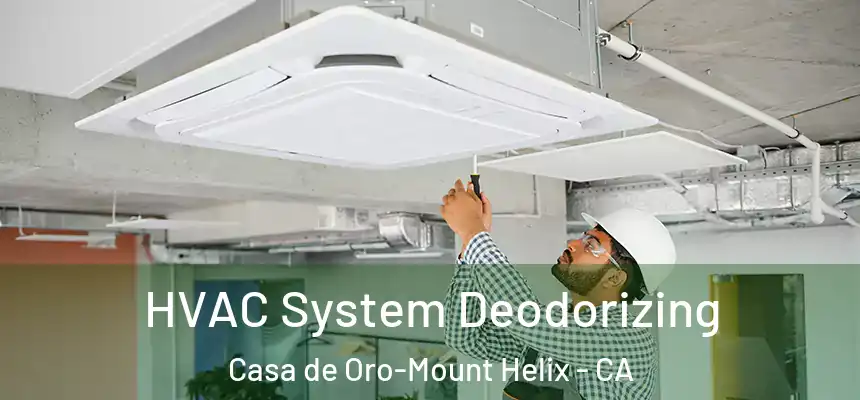  HVAC System Deodorizing Casa de Oro-Mount Helix - CA