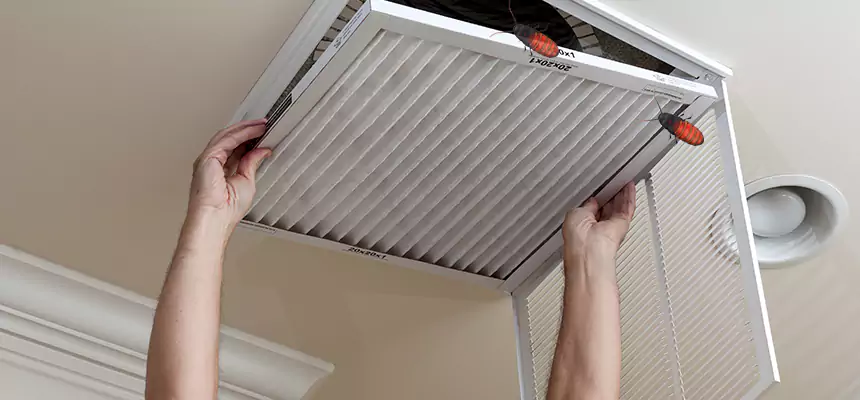Preventive Cockroach-Proofing for Ducts in Casa de Oro-Mount Helix