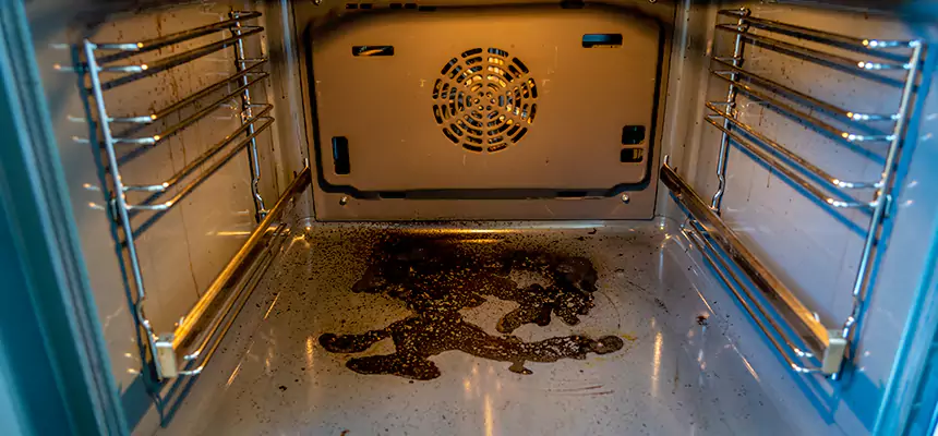 Our Dryer Vent Mold Cleaning Services in Casa de Oro-Mount Helix, CA