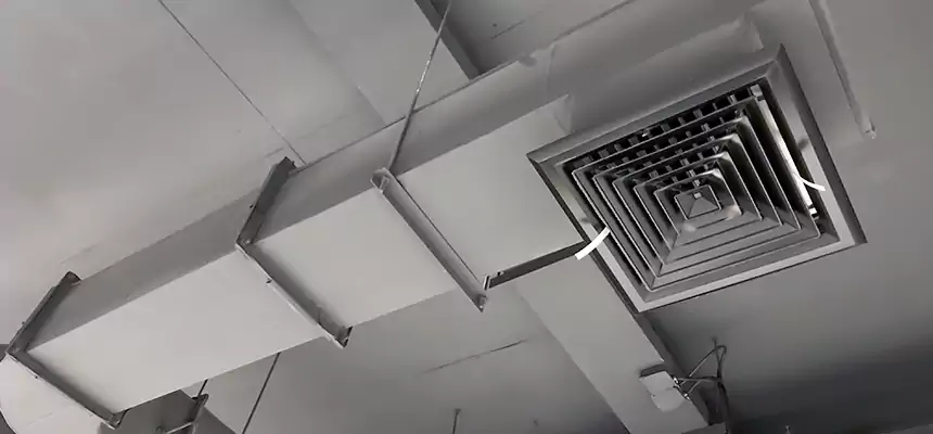 Our Pest Removal From Ducts Services in Casa de Oro-Mount Helix, CA