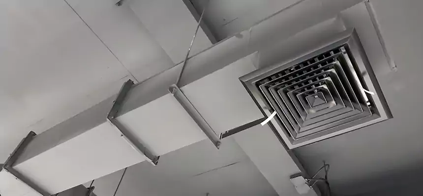 Our Rodent Droppings In Vents Services in Casa de Oro-Mount Helix, CA