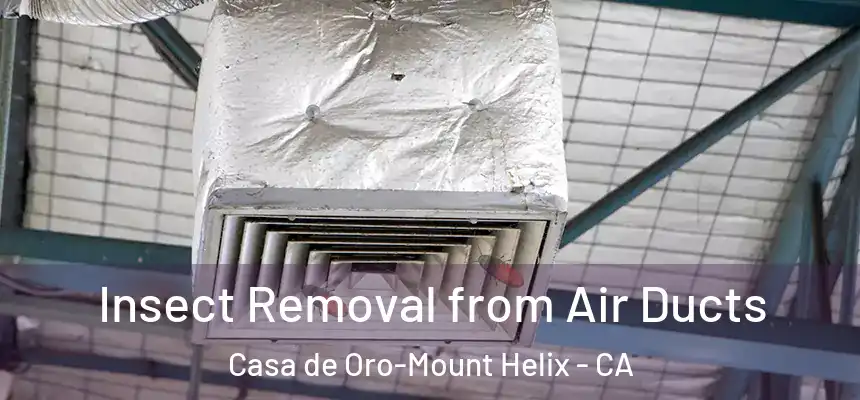  Insect Removal from Air Ducts Casa de Oro-Mount Helix - CA