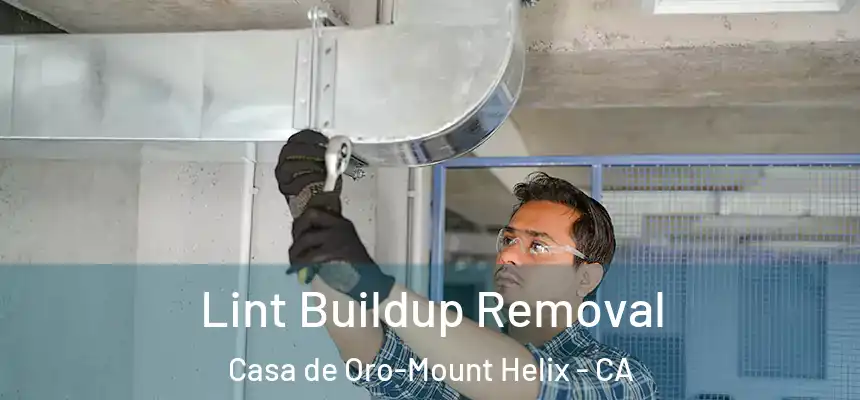  Lint Buildup Removal Casa de Oro-Mount Helix - CA