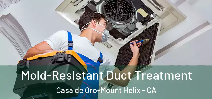  Mold-Resistant Duct Treatment Casa de Oro-Mount Helix - CA