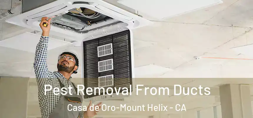  Pest Removal From Ducts Casa de Oro-Mount Helix - CA