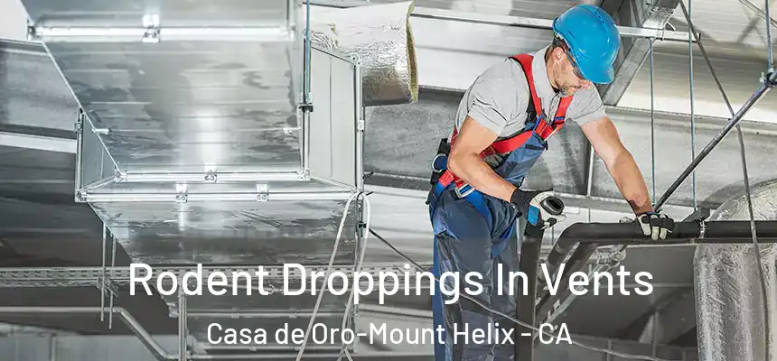  Rodent Droppings In Vents Casa de Oro-Mount Helix - CA