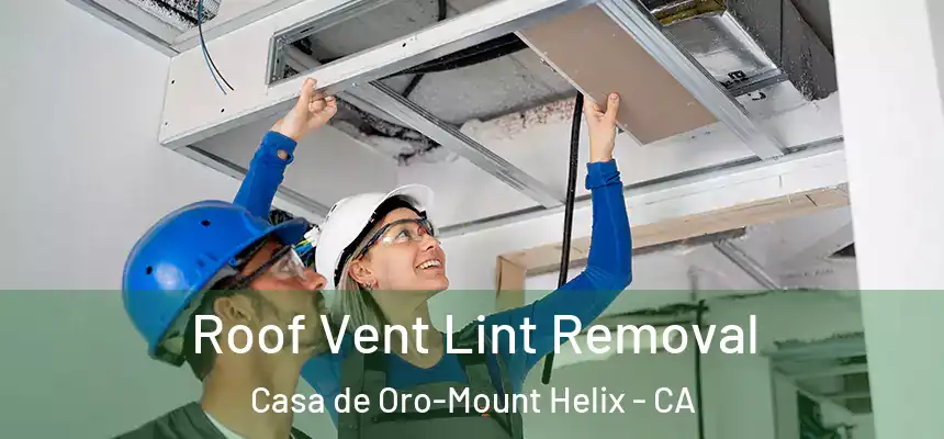  Roof Vent Lint Removal Casa de Oro-Mount Helix - CA