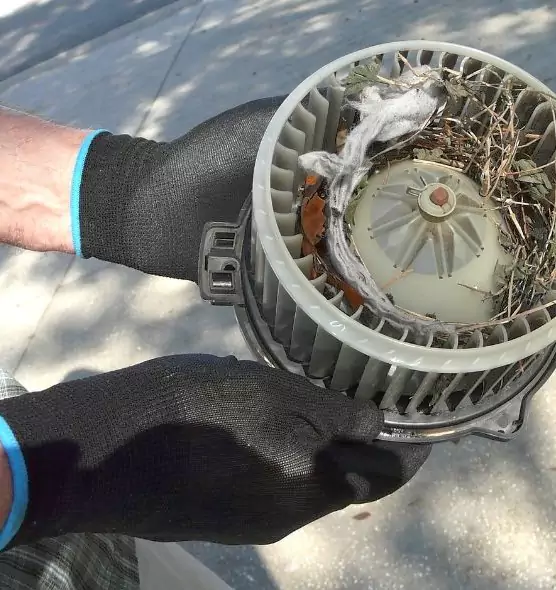 About Air Duct Mice Removal in Casa de Oro-Mount Helix, CA