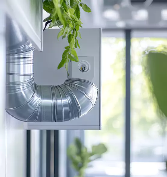 Professional Eco-Friendly Duct Cleaning Services in Casa de Oro-Mount Helix, CA