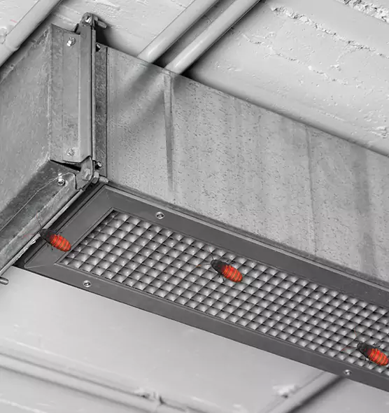 Affordable Insect Removal from Air Ducts in Casa de Oro-Mount Helix, CA