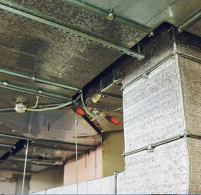 Why Homeowners & Businesses Trust Us in Casa de Oro-Mount Helix, CA?