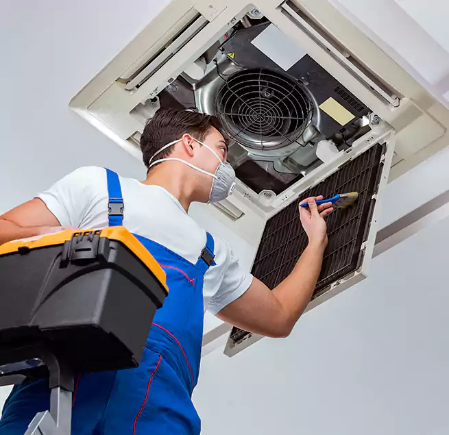 Why Homeowners & Businesses Trust Us in Casa de Oro-Mount Helix, CA