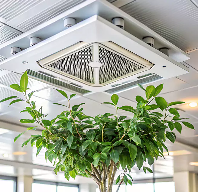 Why Homeowners & Businesses Trust Us in Casa de Oro-Mount Helix, CA?