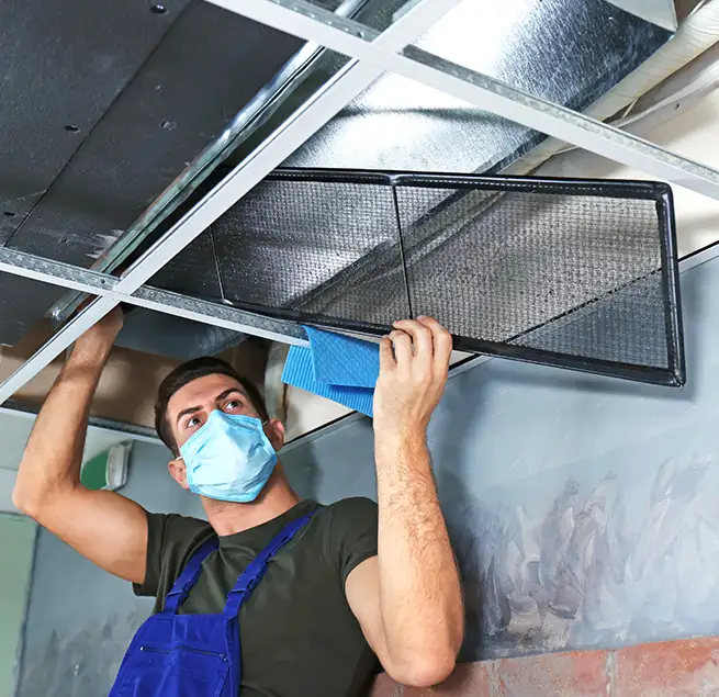 Why Homeowners & Businesses Trust Us in Casa de Oro-Mount Helix, CA?