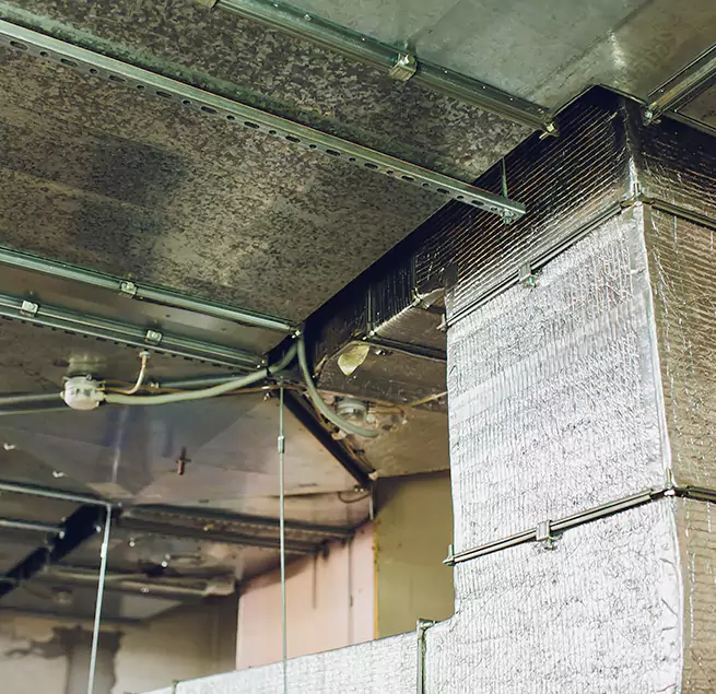 Why Homeowners & Businesses Trust Us in Casa de Oro-Mount Helix, CA?