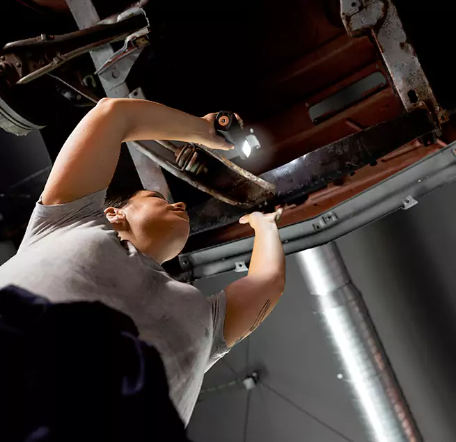 Why Homeowners & Businesses Trust Us Casa de Oro-Mount Helix, CA