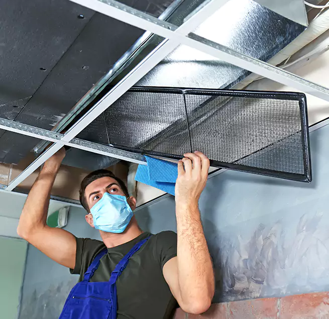 Why Homeowners & Businesses Trust Us in Casa de Oro-Mount Helix, CA?